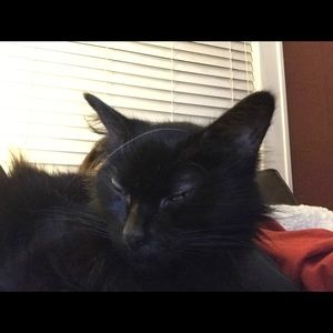 Meet your Posher, Sharon